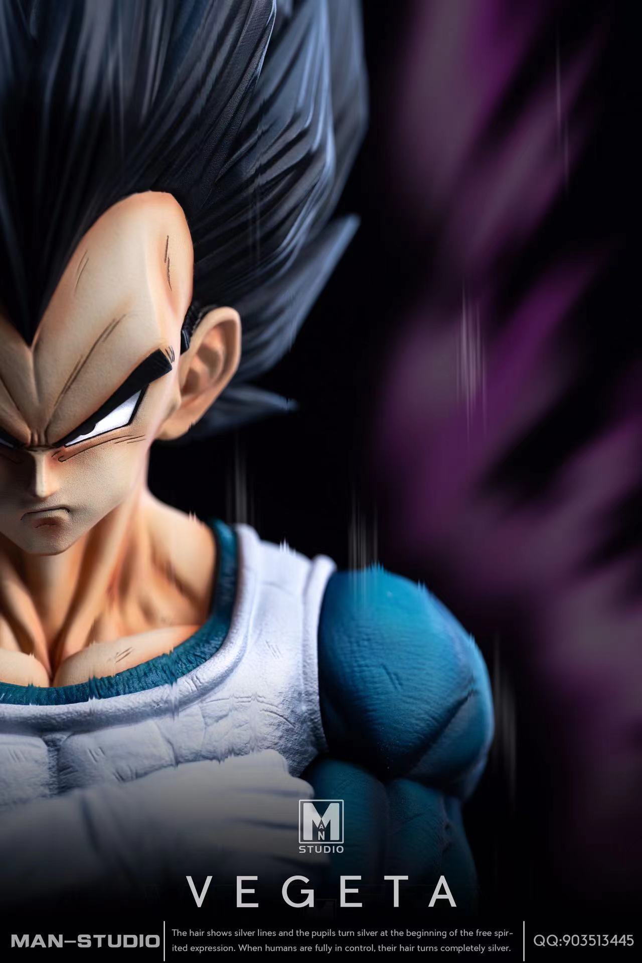 MAN Studio -- Vegeta