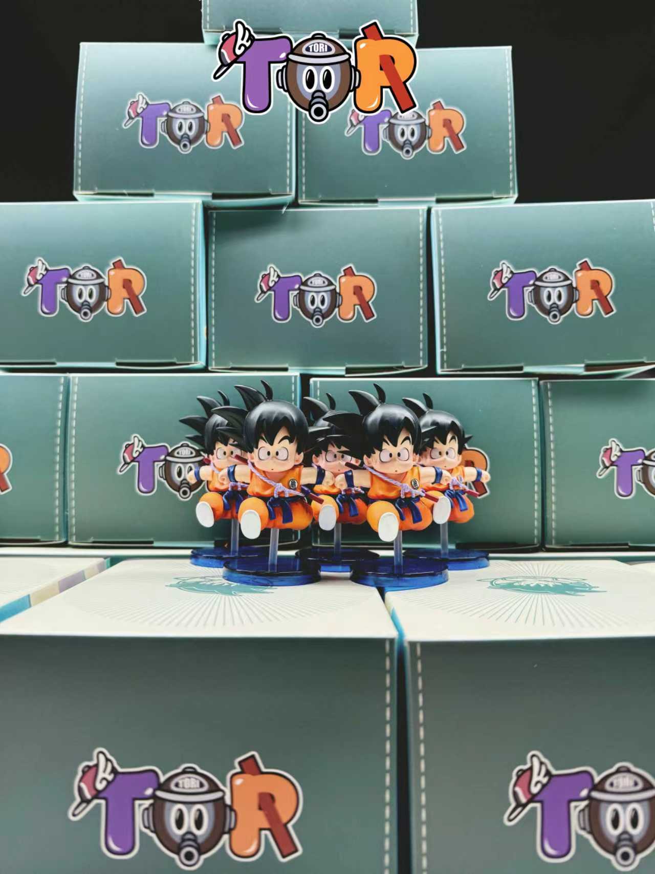 TOR Studoi -- Goku series vol.1