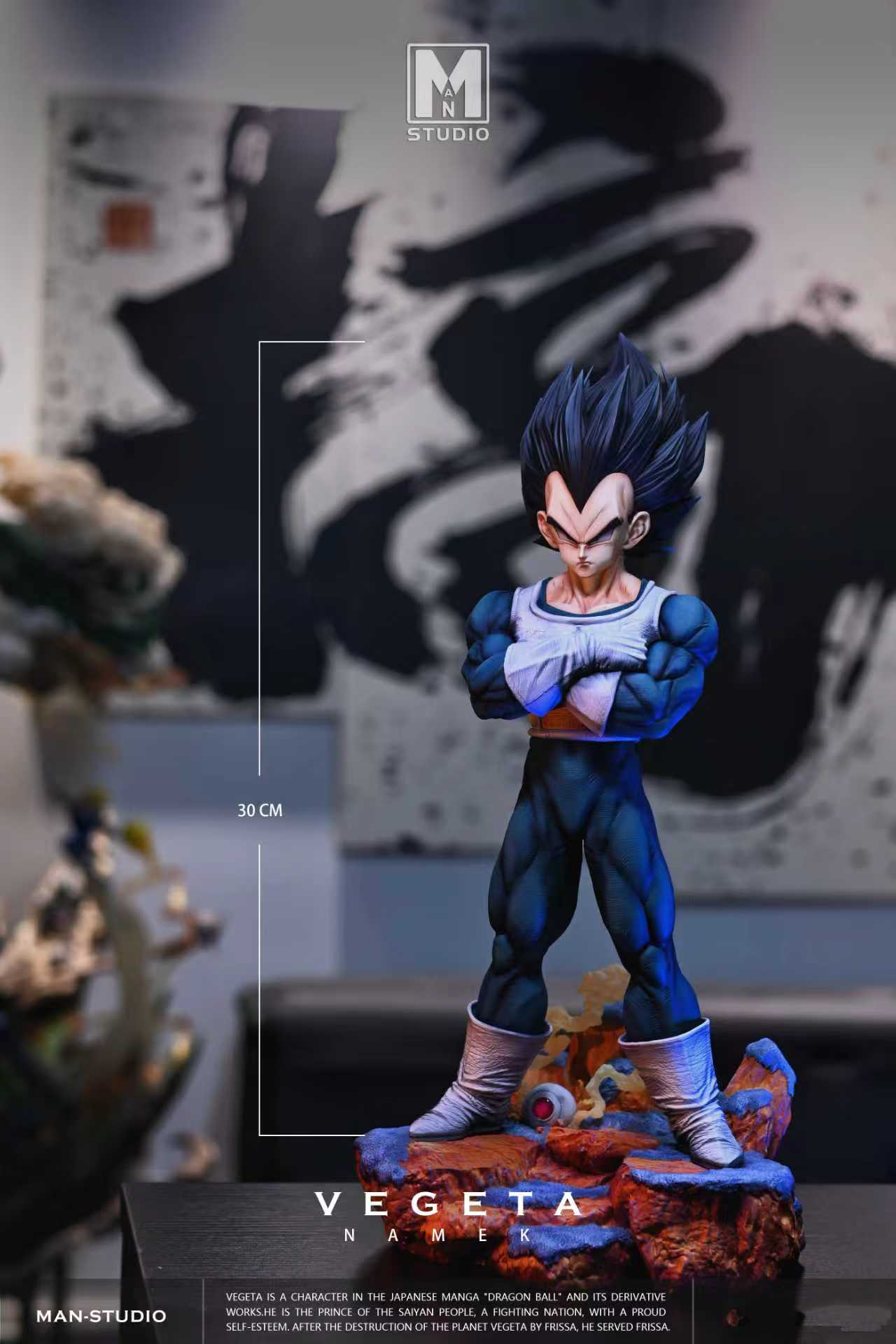 MAN Studio -- Vegeta