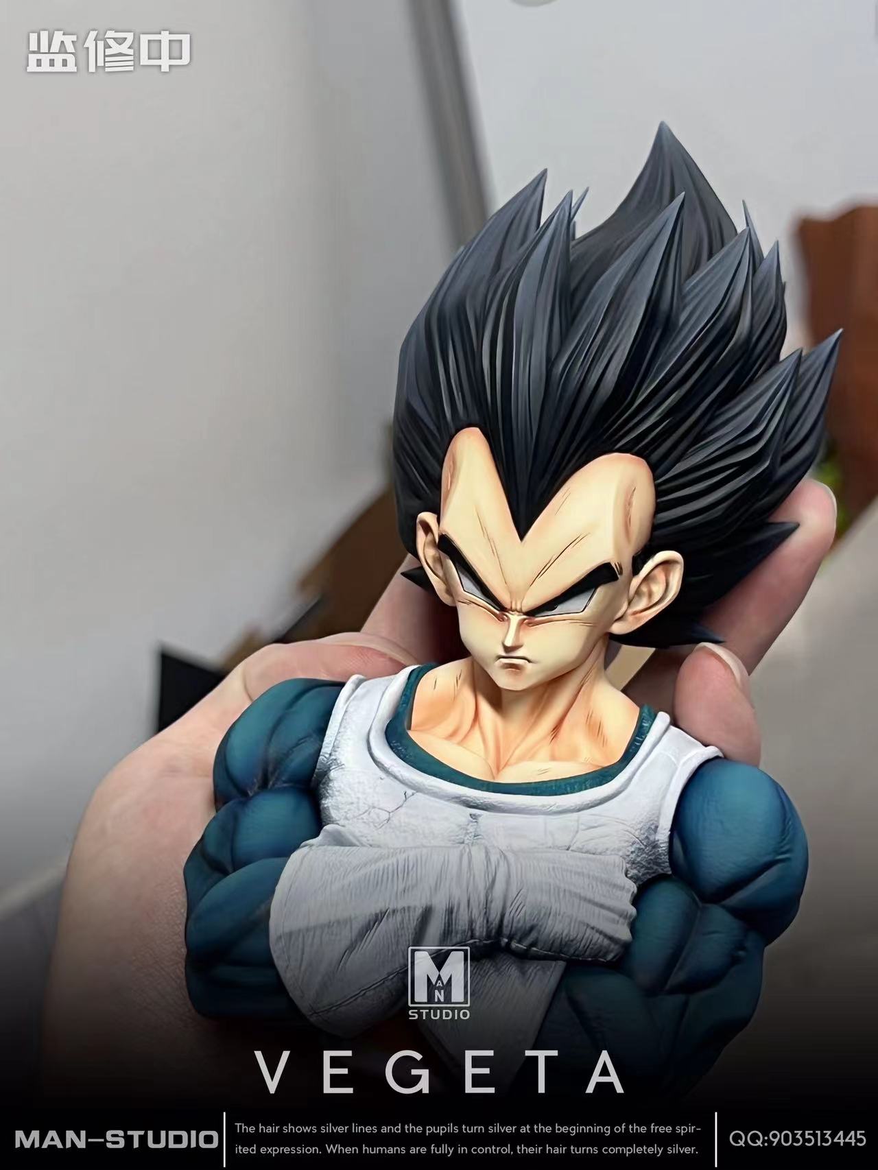 MAN Studio -- Vegeta