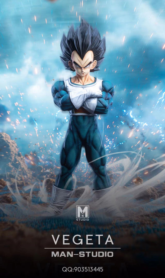 MAN Studio -- Vegeta
