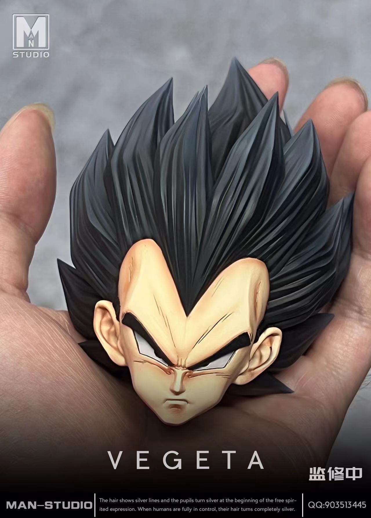 MAN Studio -- Vegeta