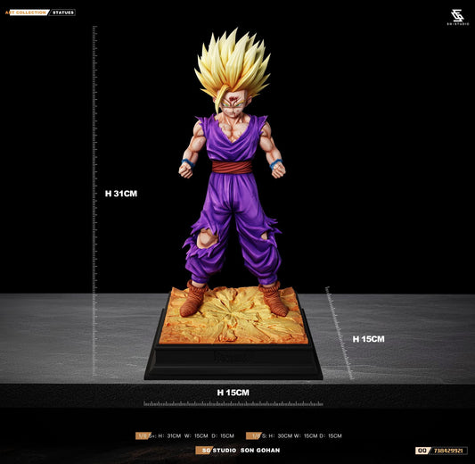 SG Studio –– Son Gohan