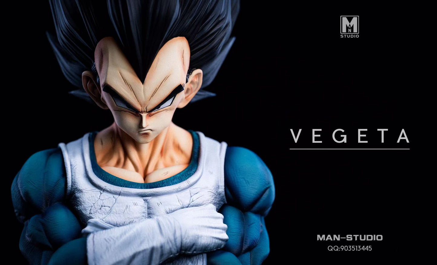 MAN Studio -- Vegeta