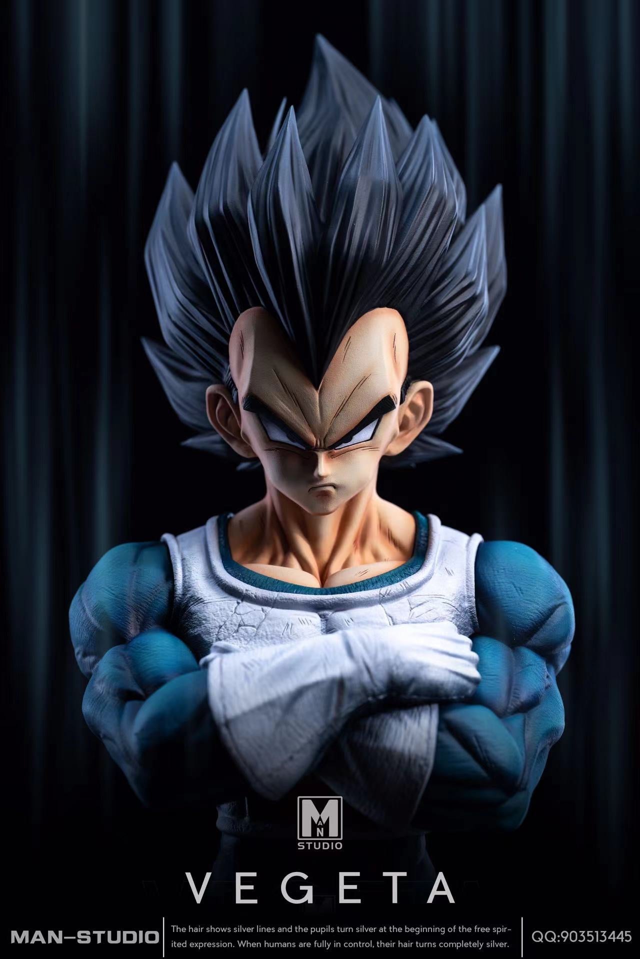 MAN Studio -- Vegeta
