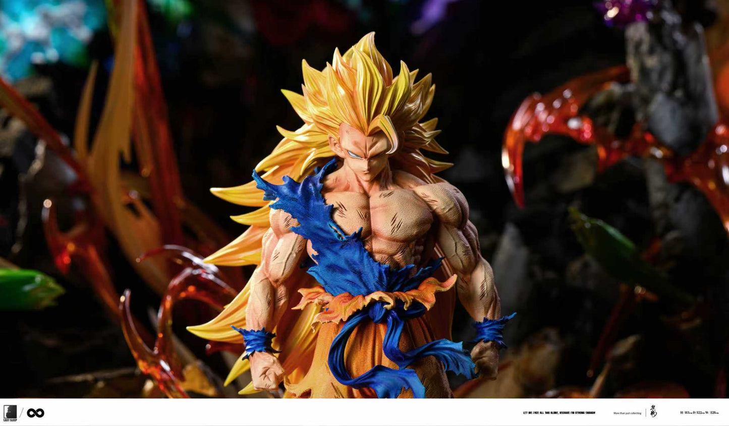 LAST SLEEP -- Anniversary SS Series Dragonball